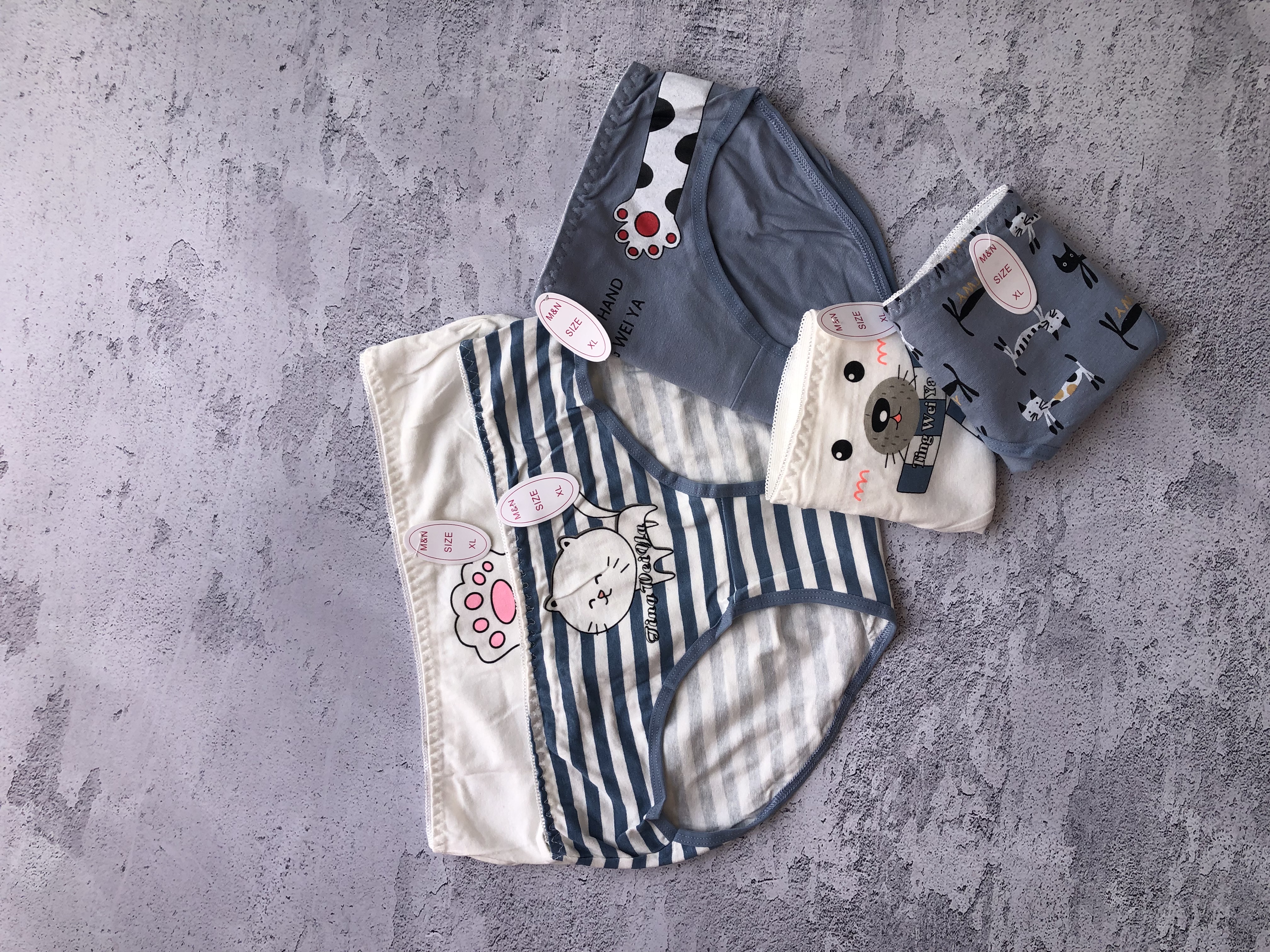 پیش‌نویس ۳۱